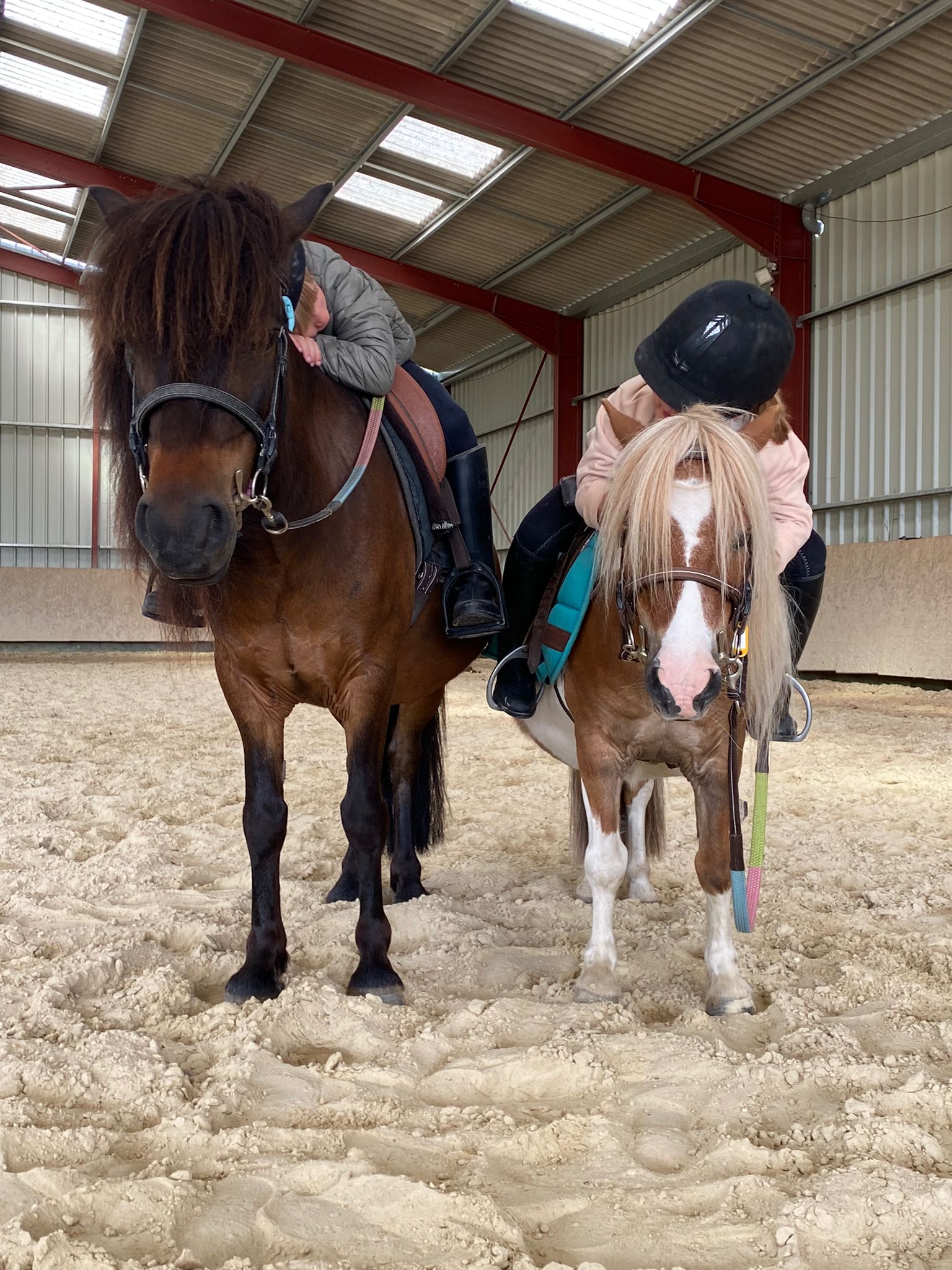 Reprise des Cours d’Équitation aux Écuries de la Rouchouze à Langeais !