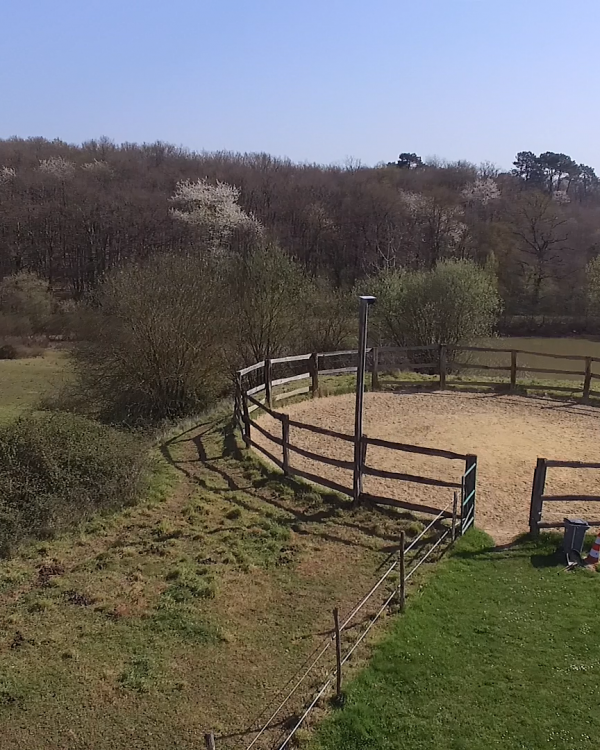 rond de longe